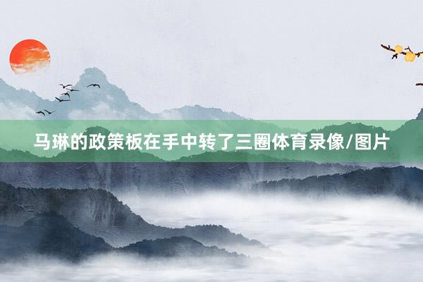马琳的政策板在手中转了三圈体育录像/图片