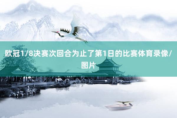 欧冠1/8决赛次回合为止了第1日的比赛体育录像/图片