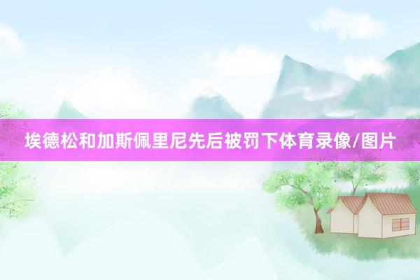 埃德松和加斯佩里尼先后被罚下体育录像/图片