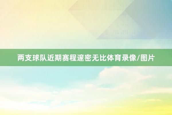 两支球队近期赛程邃密无比体育录像/图片