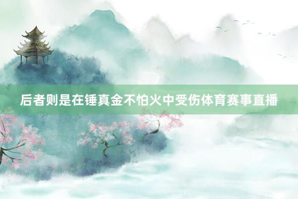 后者则是在锤真金不怕火中受伤体育赛事直播