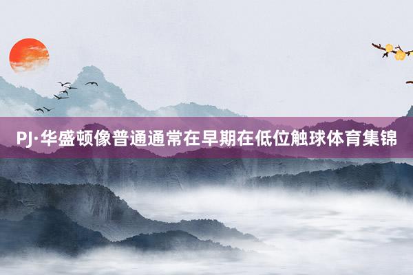 PJ·华盛顿像普通通常在早期在低位触球体育集锦