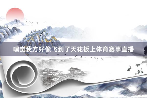 嗅觉我方好像飞到了天花板上体育赛事直播