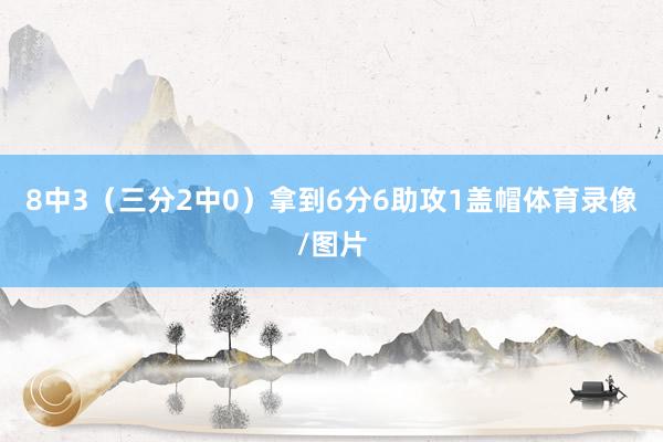 8中3（三分2中0）拿到6分6助攻1盖帽体育录像/图片