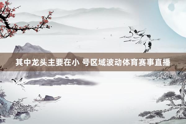 其中龙头主要在小 号区域波动体育赛事直播