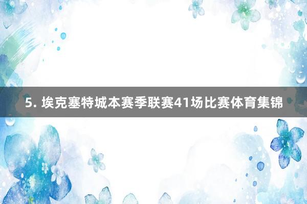 5. 埃克塞特城本赛季联赛41场比赛体育集锦