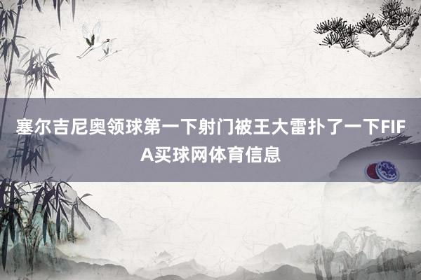 塞尔吉尼奥领球第一下射门被王大雷扑了一下FIFA买球网体育信息