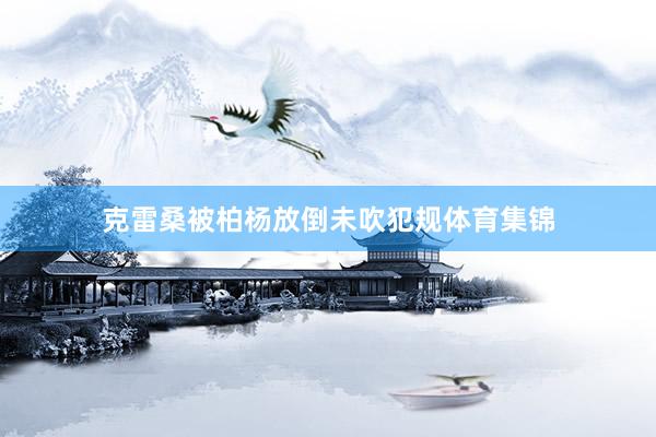 克雷桑被柏杨放倒未吹犯规体育集锦