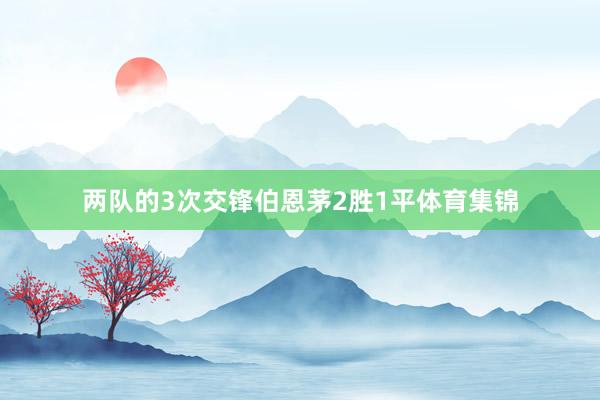 两队的3次交锋伯恩茅2胜1平体育集锦