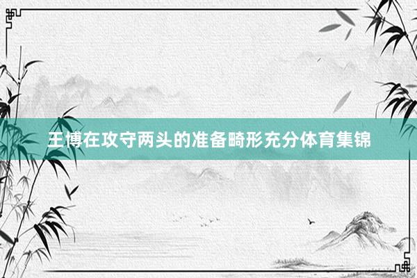 王博在攻守两头的准备畸形充分体育集锦