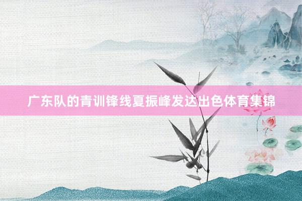 广东队的青训锋线夏振峰发达出色体育集锦