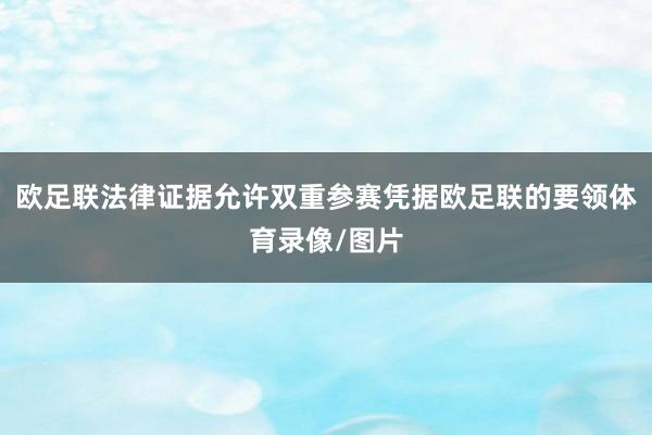 欧足联法律证据允许双重参赛凭据欧足联的要领体育录像/图片