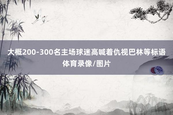 大概200-300名主场球迷高喊着仇视巴林等标语体育录像/图片