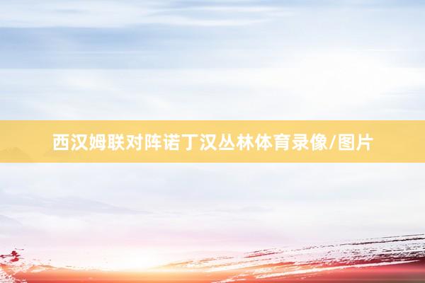 西汉姆联对阵诺丁汉丛林体育录像/图片