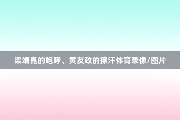 梁靖崑的咆哮、黄友政的擦汗体育录像/图片