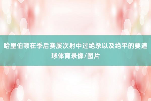 哈里伯顿在季后赛屡次射中过绝杀以及绝平的要道球体育录像/图片