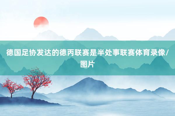 德国足协发达的德丙联赛是半处事联赛体育录像/图片