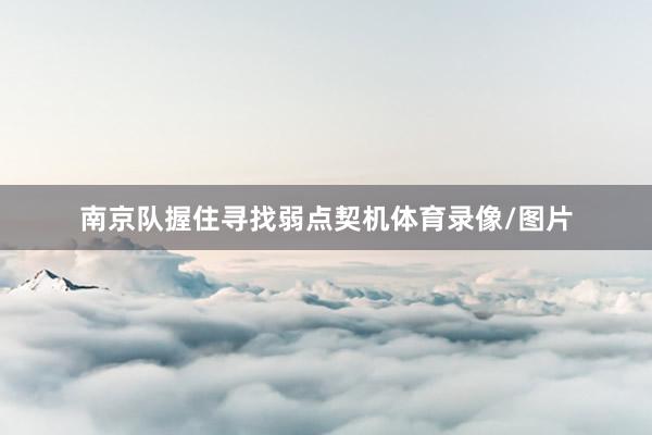 南京队握住寻找弱点契机体育录像/图片
