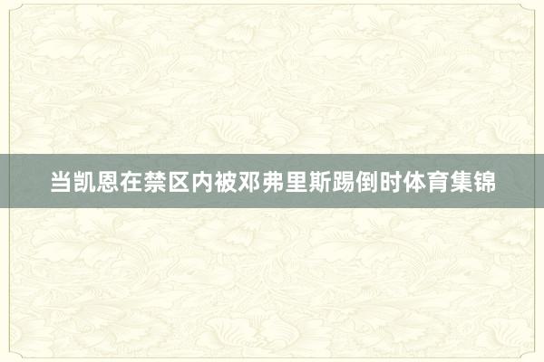 当凯恩在禁区内被邓弗里斯踢倒时体育集锦