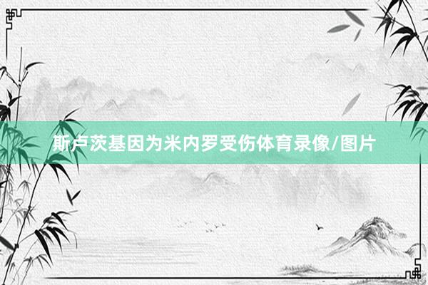 斯卢茨基因为米内罗受伤体育录像/图片