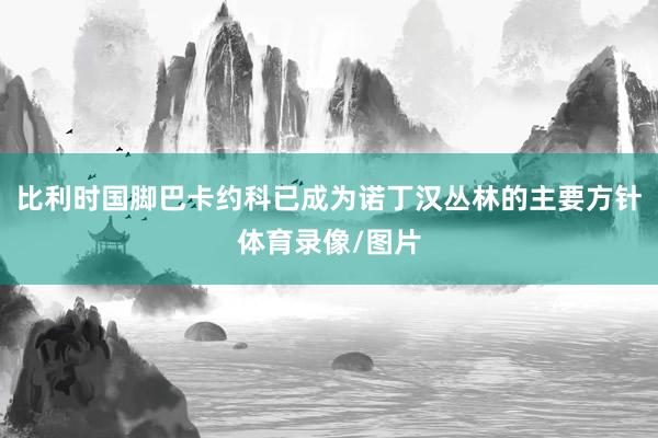 比利时国脚巴卡约科已成为诺丁汉丛林的主要方针体育录像/图片