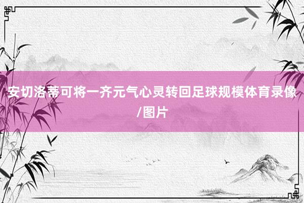 安切洛蒂可将一齐元气心灵转回足球规模体育录像/图片