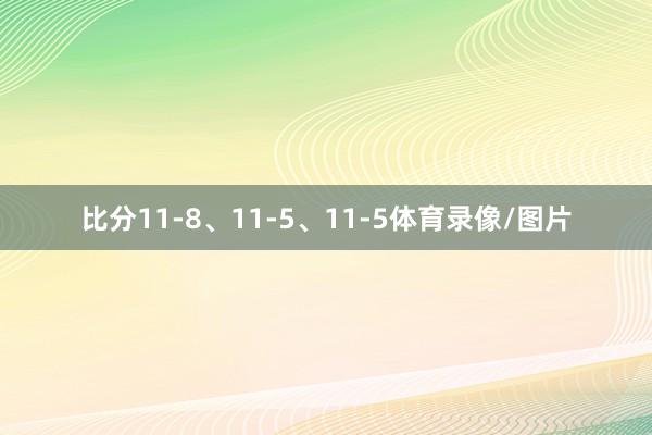 比分11-8、11-5、11-5体育录像/图片