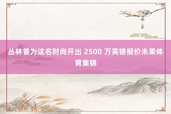 丛林曾为这名时尚开出 2500 万英镑报价未果体育集锦