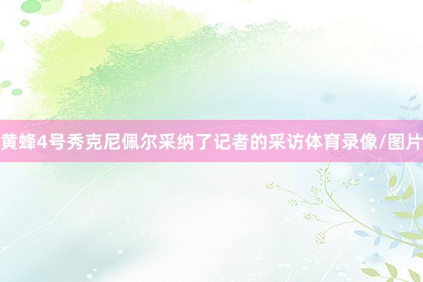 黄蜂4号秀克尼佩尔采纳了记者的采访体育录像/图片
