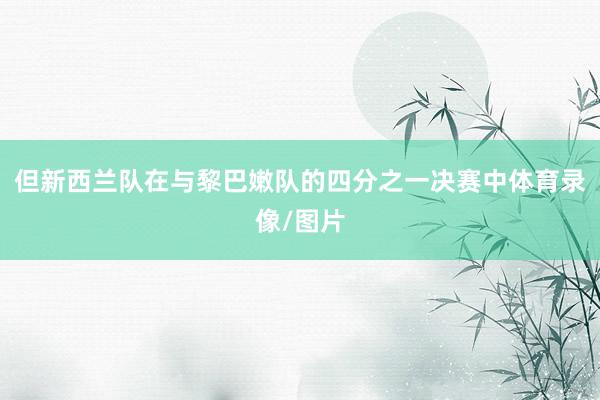 但新西兰队在与黎巴嫩队的四分之一决赛中体育录像/图片