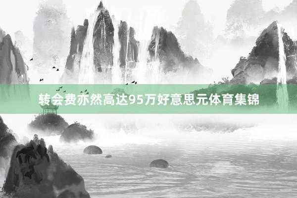 转会费亦然高达95万好意思元体育集锦