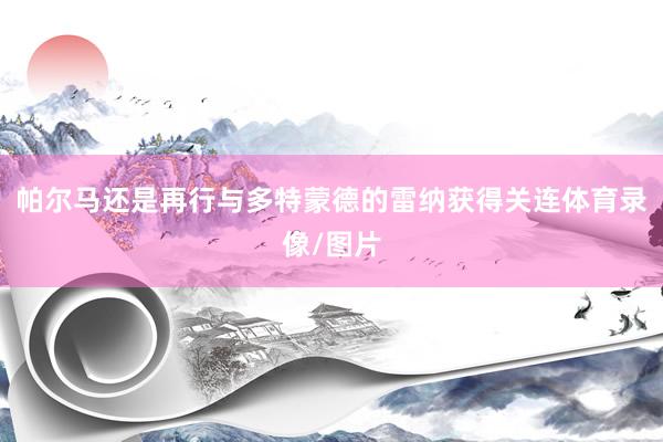 帕尔马还是再行与多特蒙德的雷纳获得关连体育录像/图片