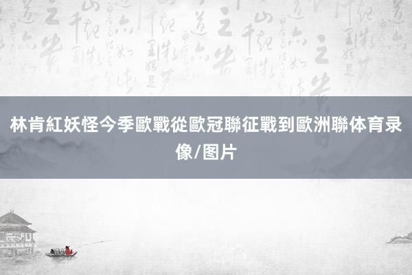 林肯紅妖怪今季歐戰從歐冠聯征戰到歐洲聯体育录像/图片