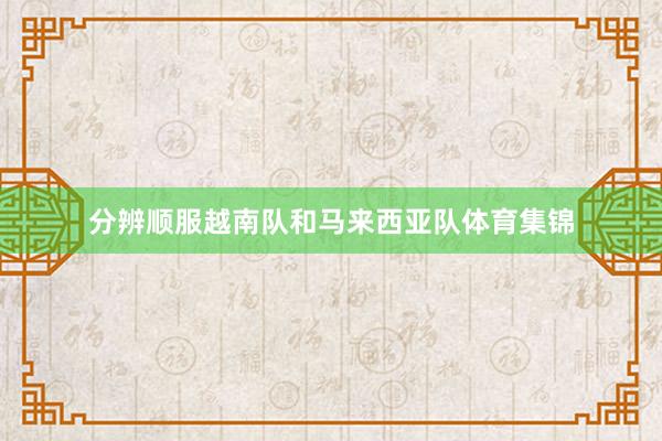 分辨顺服越南队和马来西亚队体育集锦