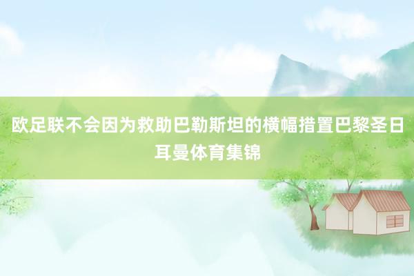 欧足联不会因为救助巴勒斯坦的横幅措置巴黎圣日耳曼体育集锦