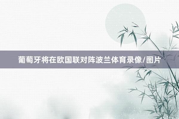 葡萄牙将在欧国联对阵波兰体育录像/图片