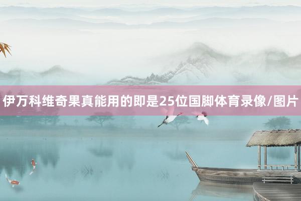 伊万科维奇果真能用的即是25位国脚体育录像/图片
