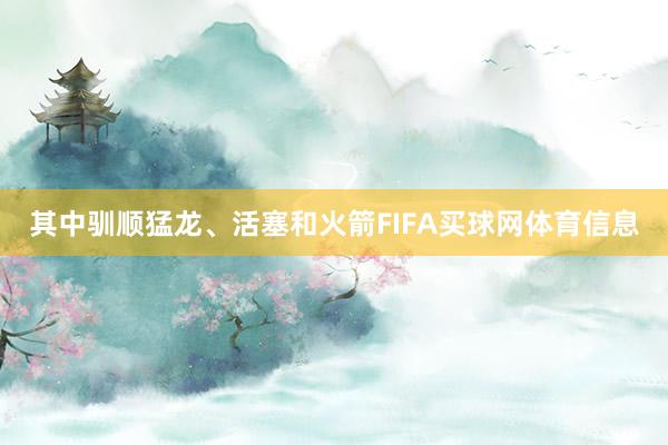 其中驯顺猛龙、活塞和火箭FIFA买球网体育信息