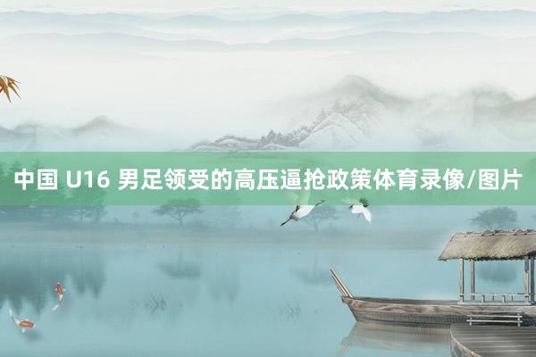 中国 U16 男足领受的高压逼抢政策体育录像/图片
