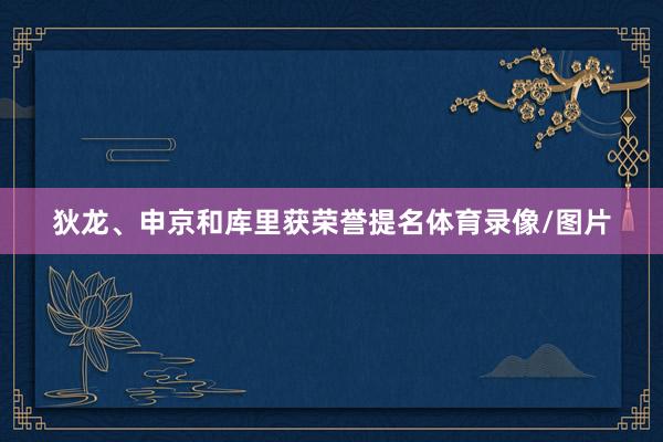狄龙、申京和库里获荣誉提名体育录像/图片