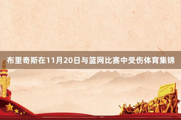 布里奇斯在11月20日与篮网比赛中受伤体育集锦