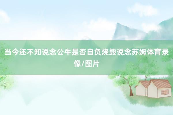 当今还不知说念公牛是否自负烧毁说念苏姆体育录像/图片