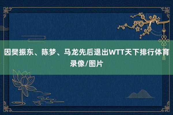 因樊振东、陈梦、马龙先后退出WTT天下排行体育录像/图片