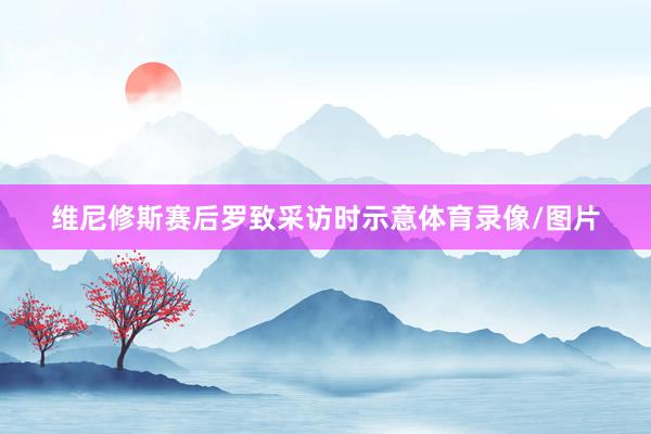 维尼修斯赛后罗致采访时示意体育录像/图片
