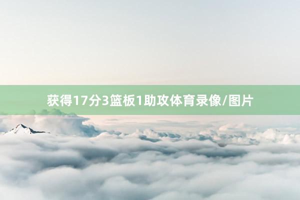 获得17分3篮板1助攻体育录像/图片