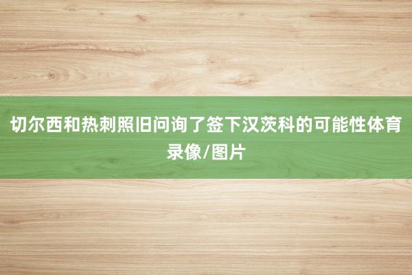 切尔西和热刺照旧问询了签下汉茨科的可能性体育录像/图片