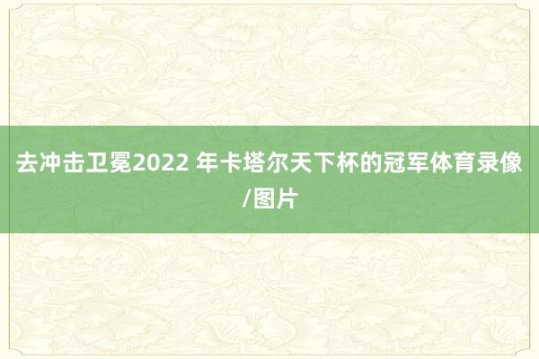 去冲击卫冕2022 年卡塔尔天下杯的冠军体育录像/图片