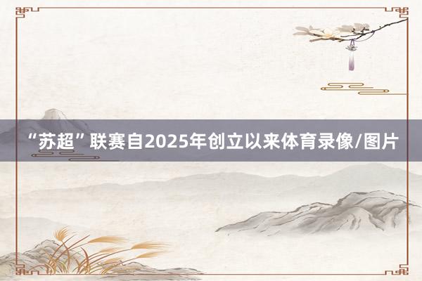 “苏超”联赛自2025年创立以来体育录像/图片