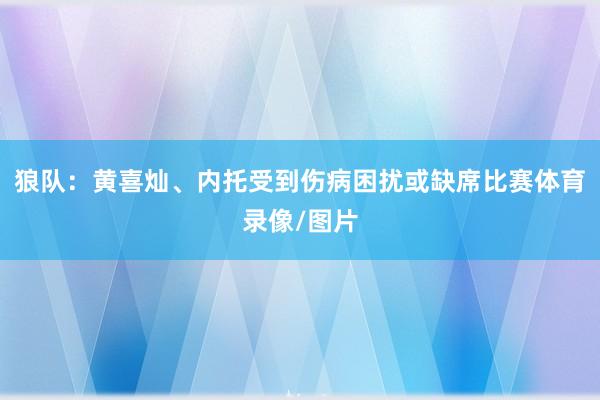 狼队：黄喜灿、内托受到伤病困扰或缺席比赛体育录像/图片